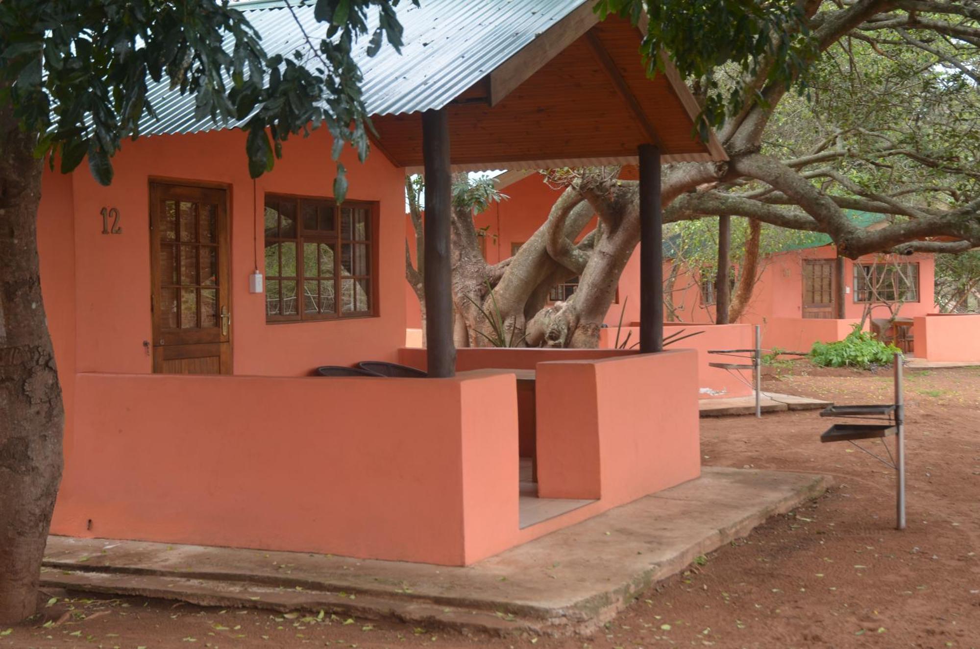 Bushbaby Lodge & Camping Hluhluwe Rum bild