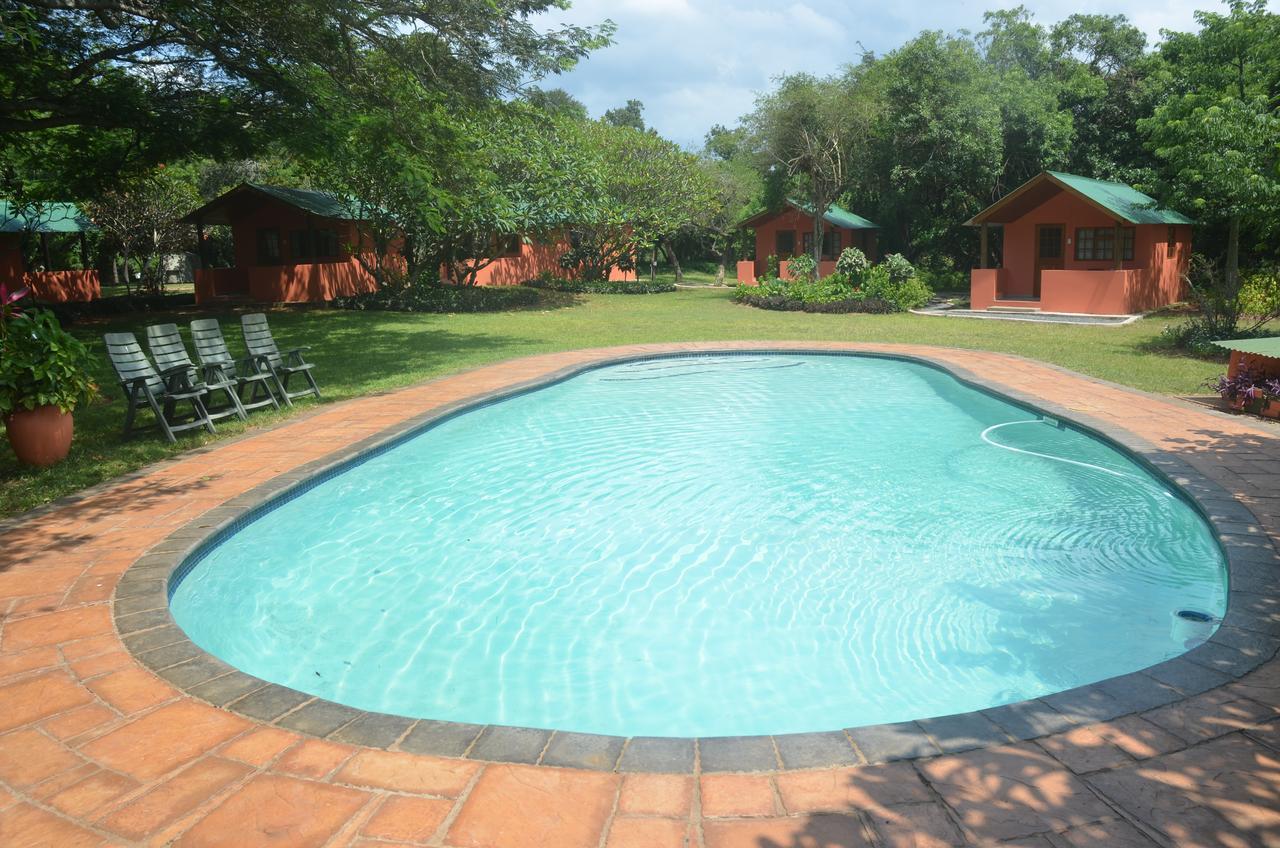 Bushbaby Lodge & Camping Hluhluwe Exteriör bild