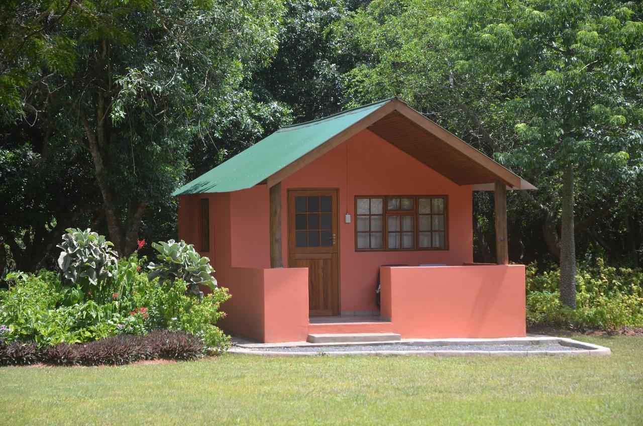 Bushbaby Lodge & Camping Hluhluwe Exteriör bild