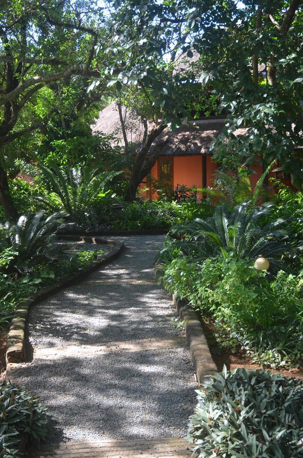 Bushbaby Lodge & Camping Hluhluwe Exteriör bild