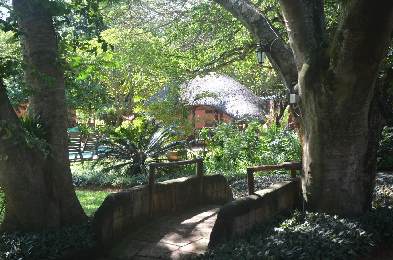 Bushbaby Lodge & Camping Hluhluwe Exteriör bild