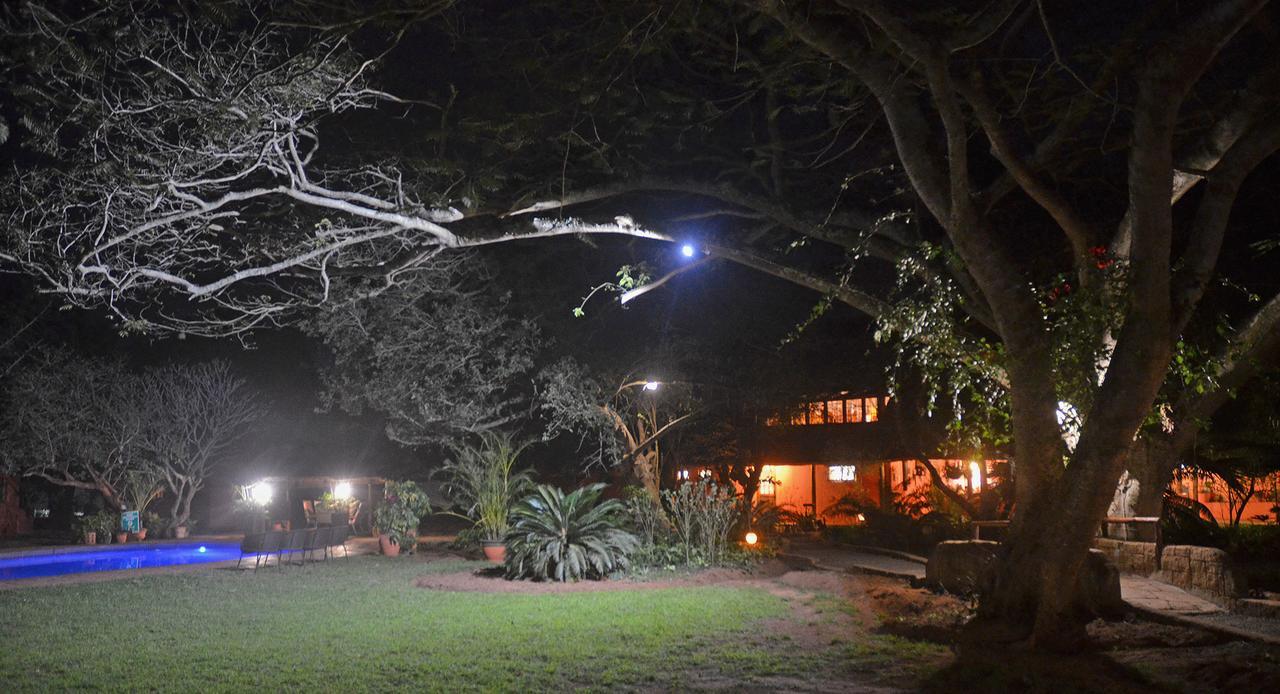 Bushbaby Lodge & Camping Hluhluwe Exteriör bild